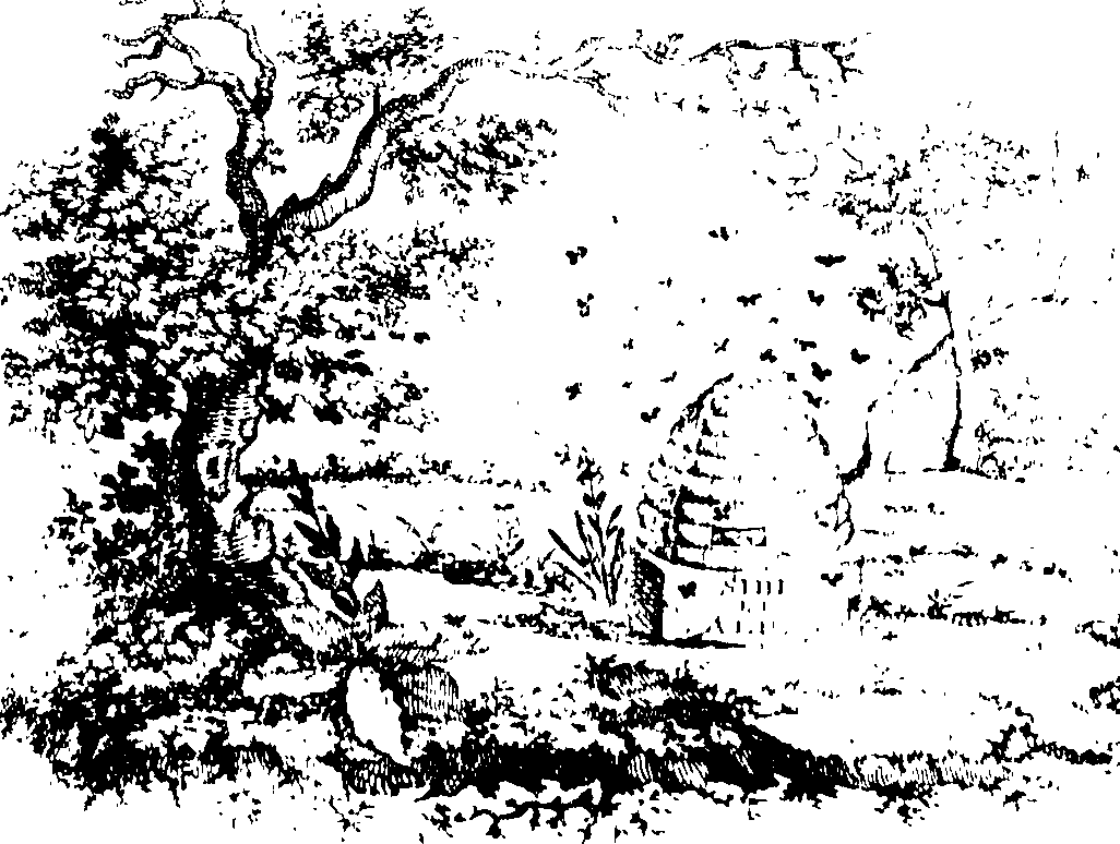 088/088680011100010_0.png