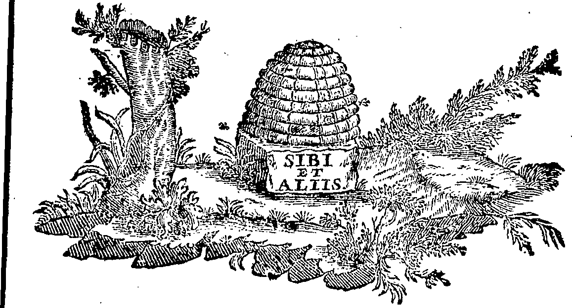 088/088680011101920_0.png