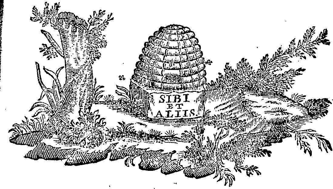 088/088680011105780_0.png