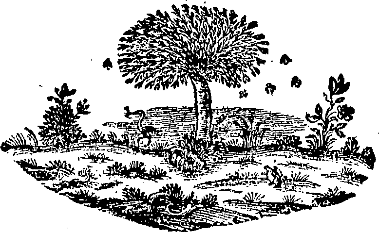 088/088680011201890_0.png