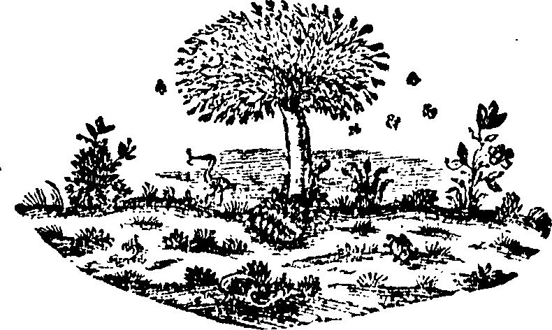 088/088690011304520_0.png