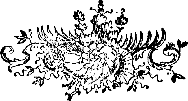 088/088690011306550_0.png