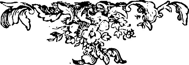 088/088690011404850_0.png