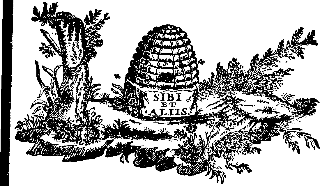 088/088690011505740_0.png
