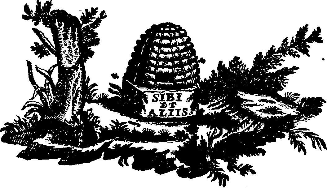 088/088700011601920_0.png