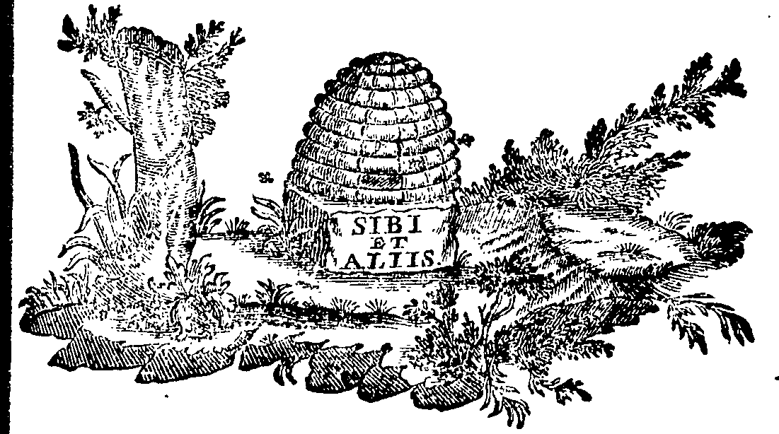 088/088700011605740_0.png