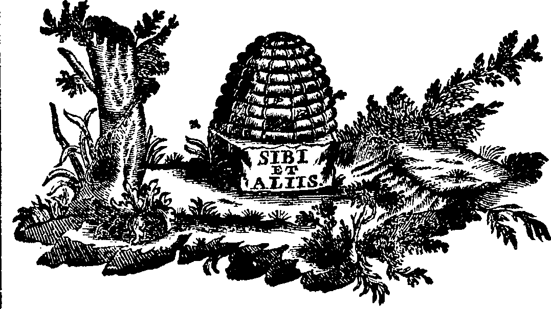 088/088700011705760_0.png