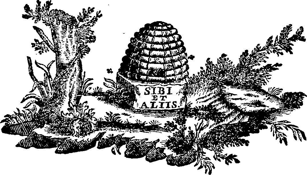 088/088700011802000_0.png