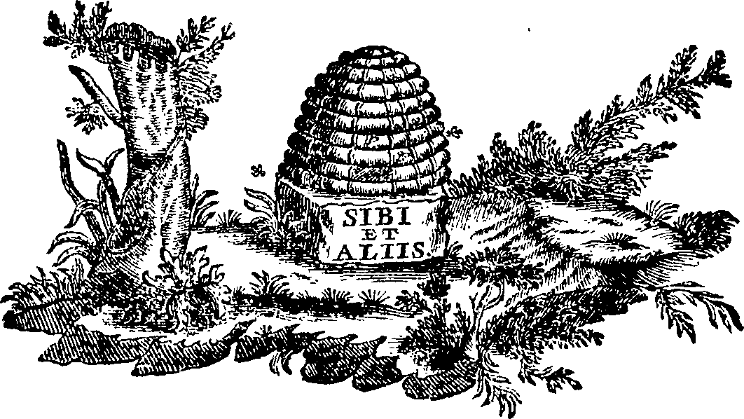 088/088700011805840_0.png
