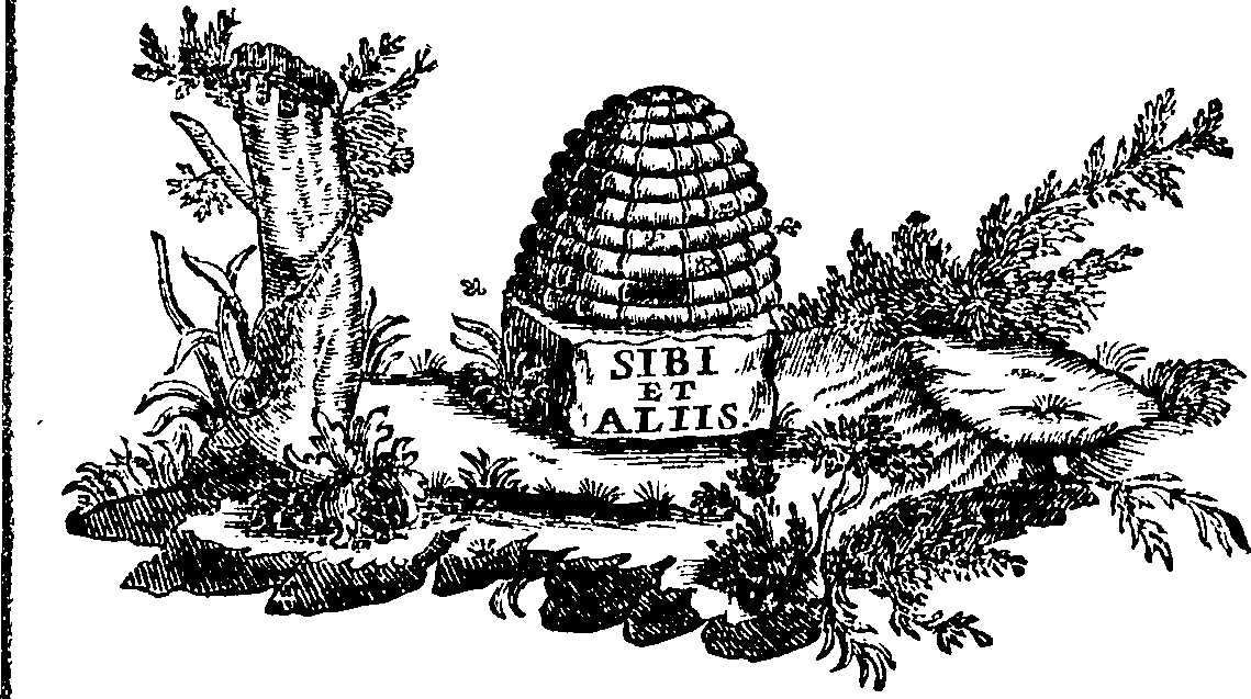 088/088710011901920_0.png