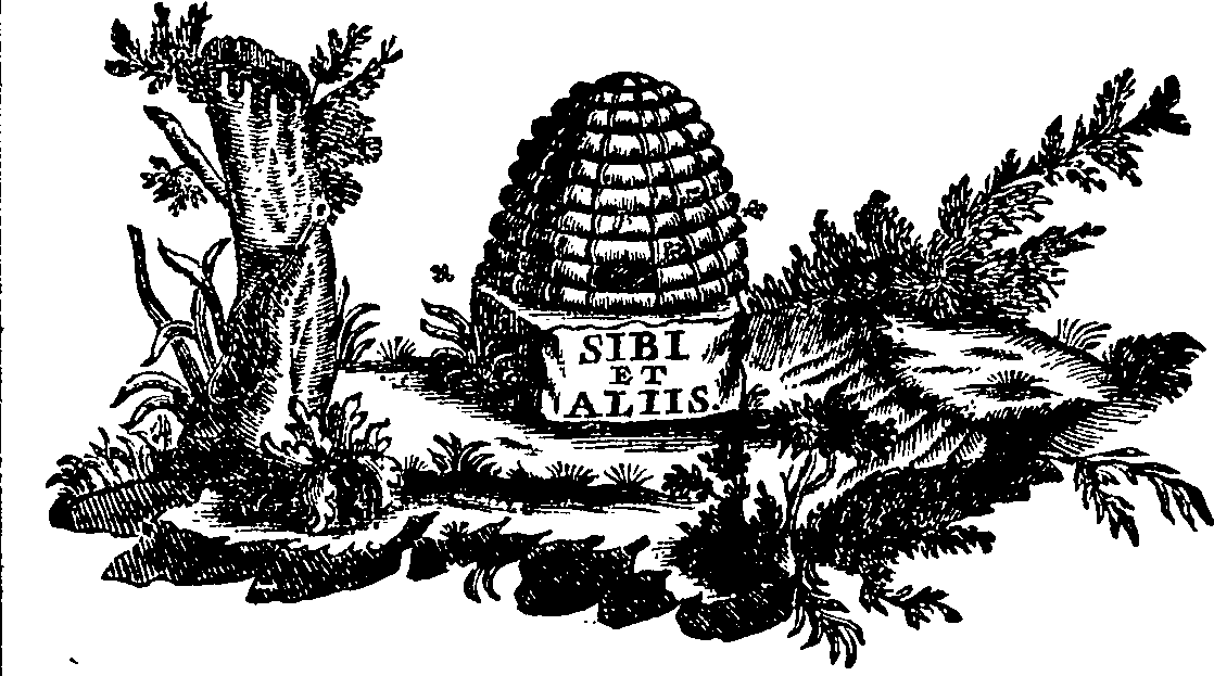 088/088710011905740_1.png