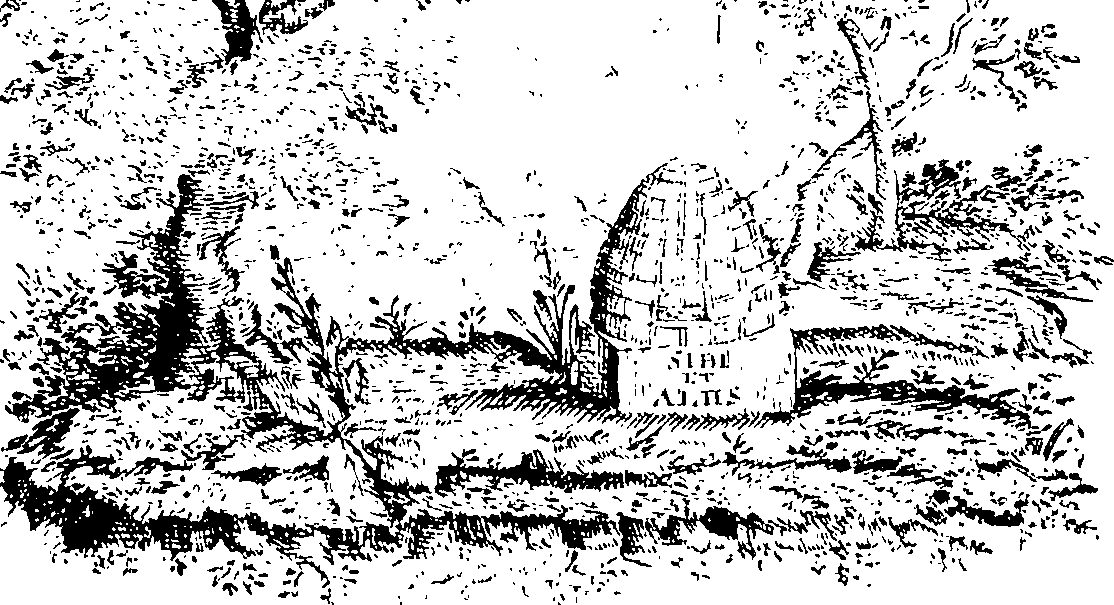 088/088710012000010_0.png