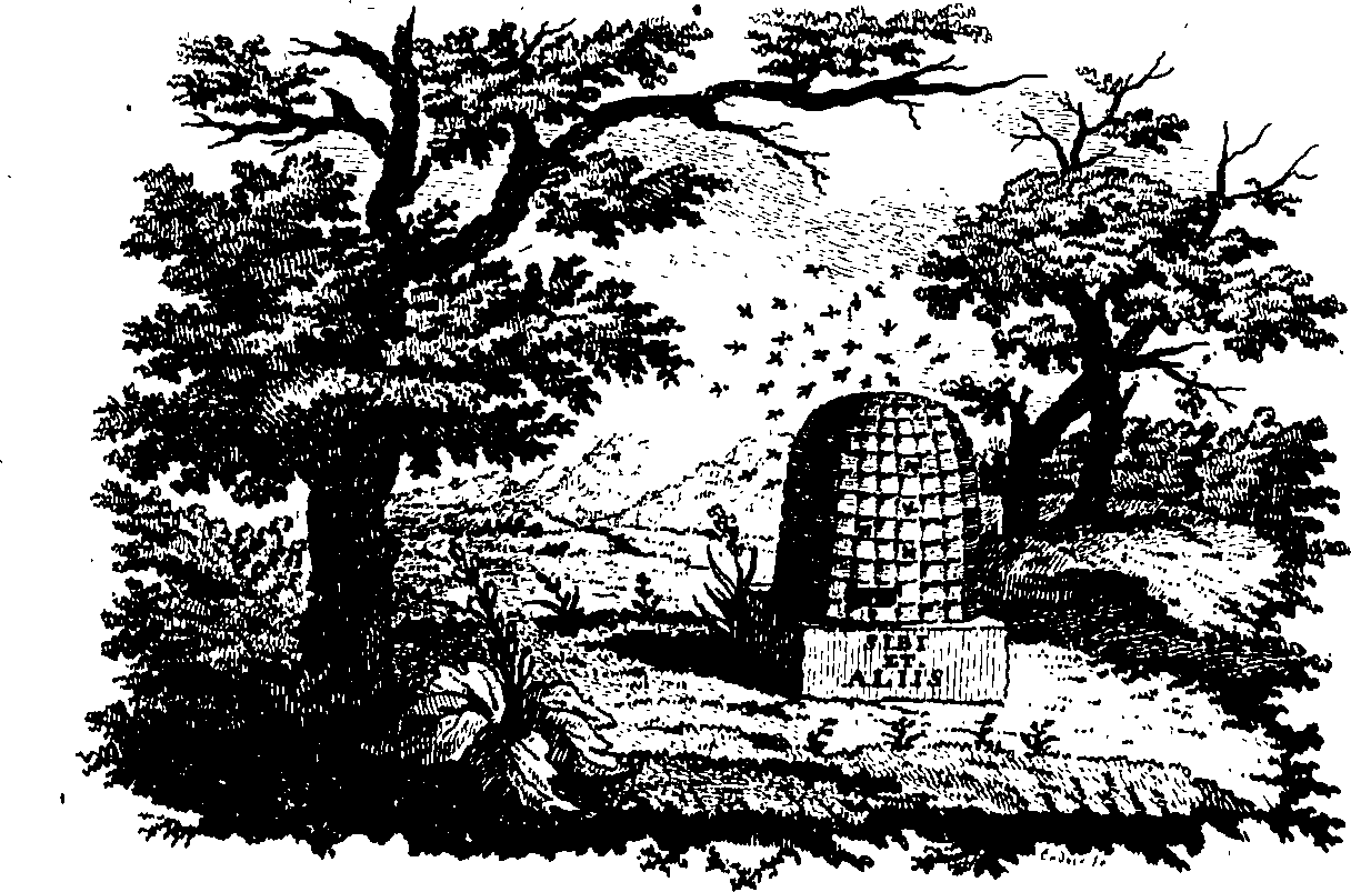 088/088720012300010_0.png