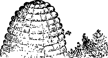 088/088730012605660_0.png