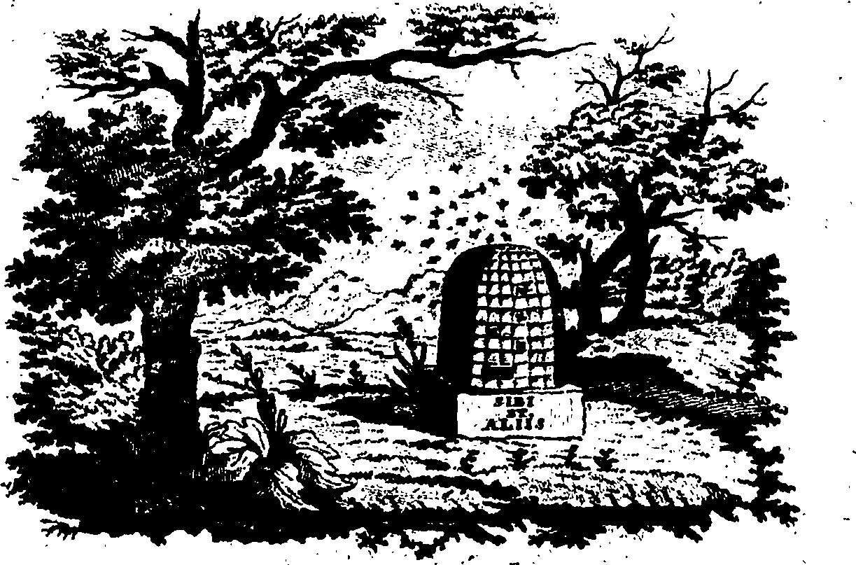 088/088740012800010_0.png
