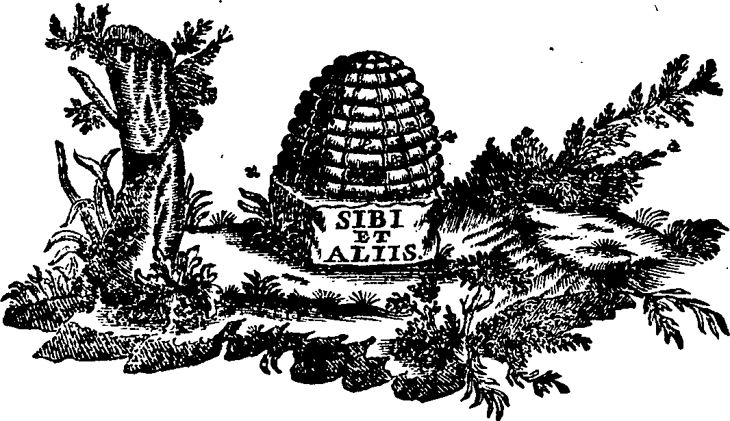 088/088740012801920_0.png