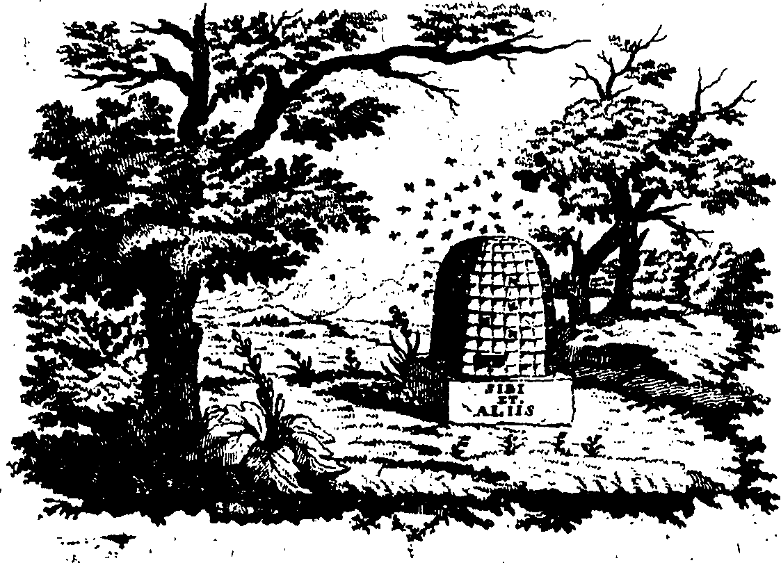 088/088740012900010_0.png