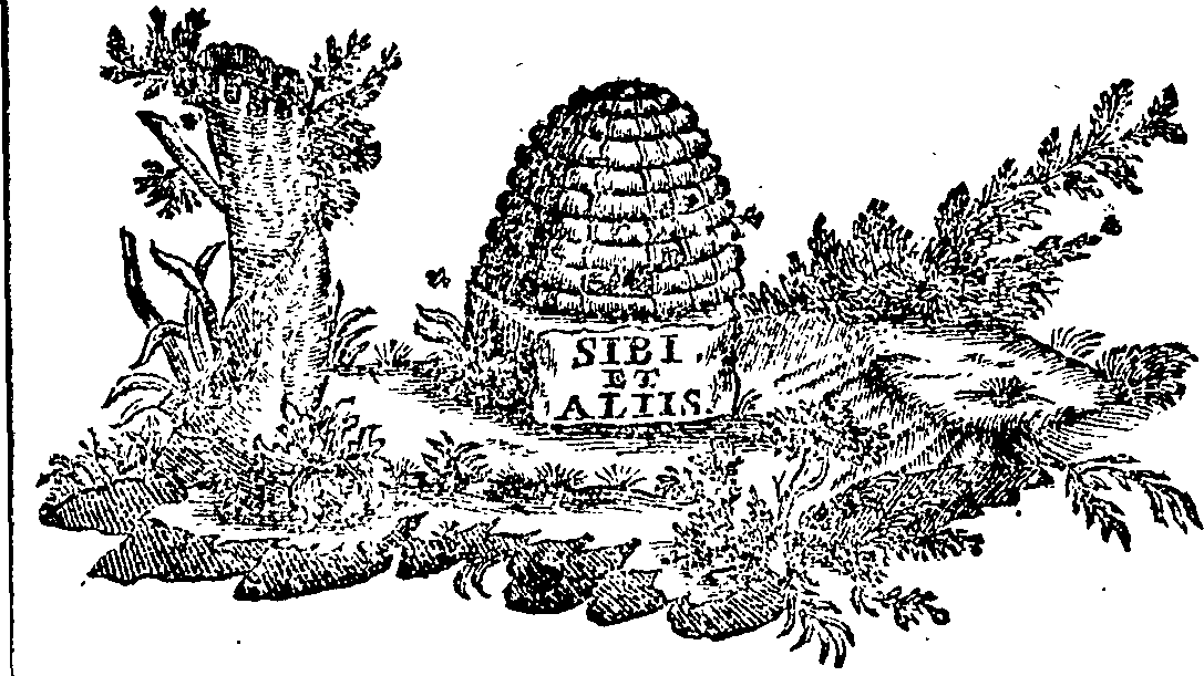 088/088740012905760_0.png