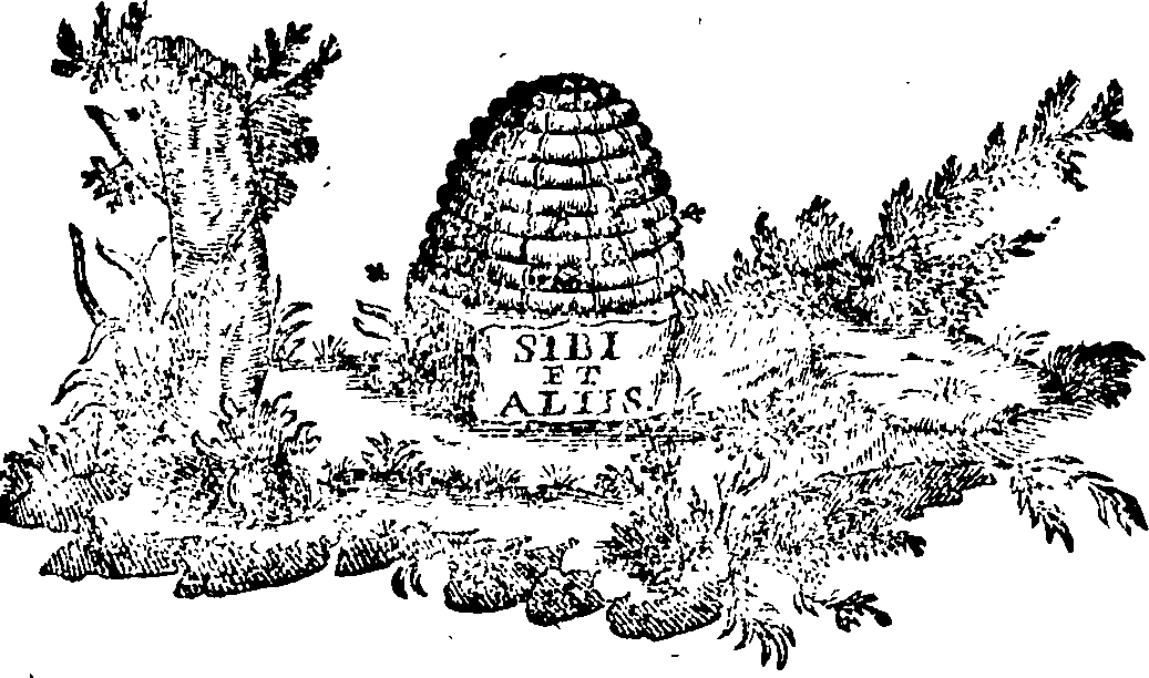 088/088740013003830_0.png