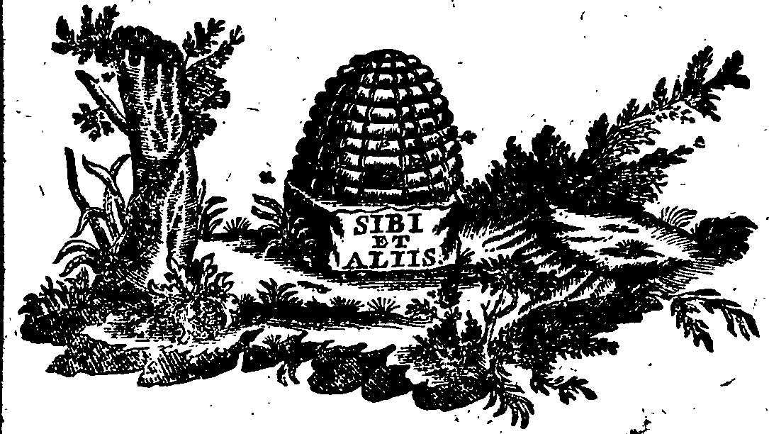 088/088740013005740_1.png