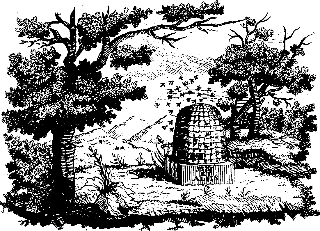 088/088750013100010_0.png