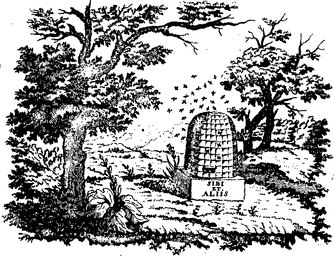 088/088760013500010_1.png