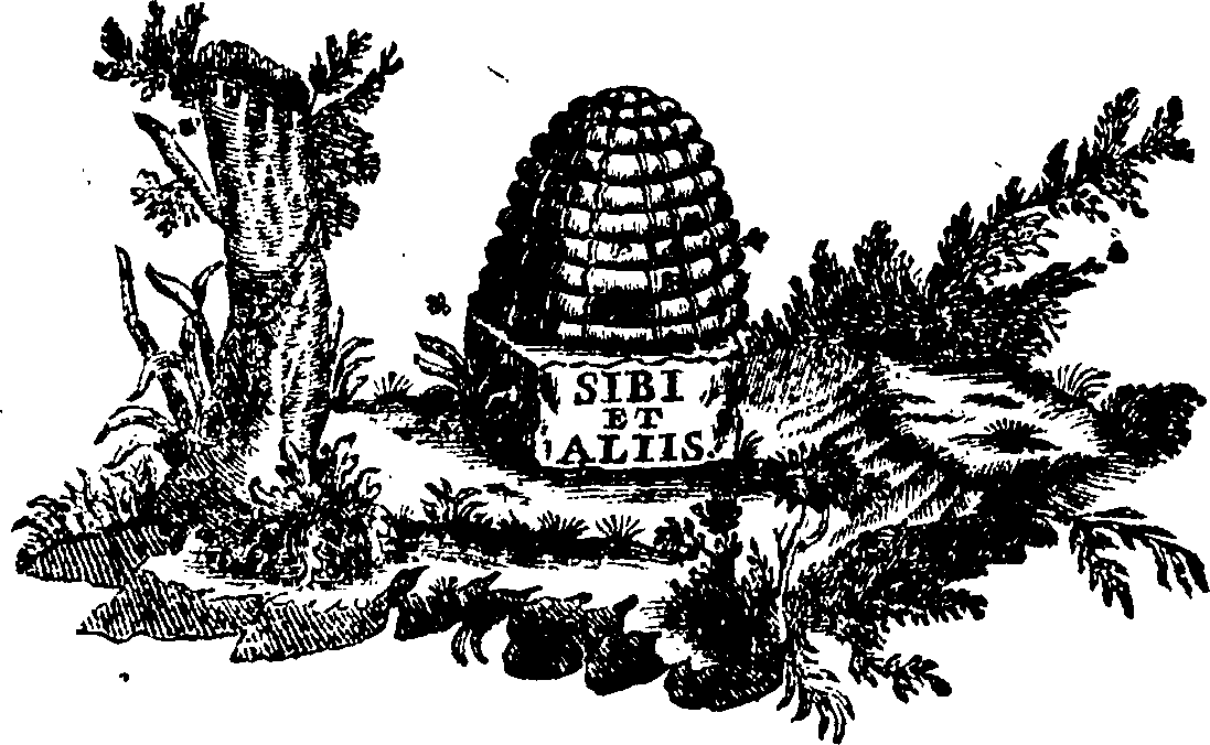 088/088760013601760_0.png
