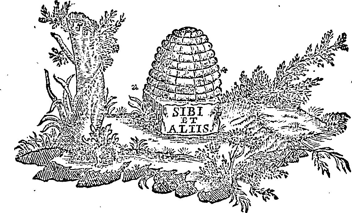 088/088770013801920_0.png