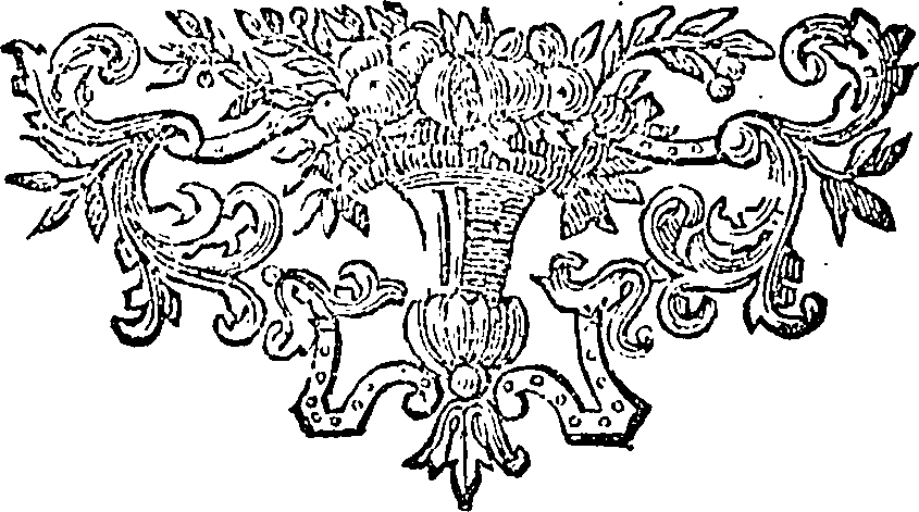 088/088770013804570_0.png