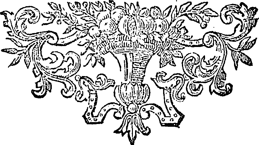 088/088770013804590_0.png
