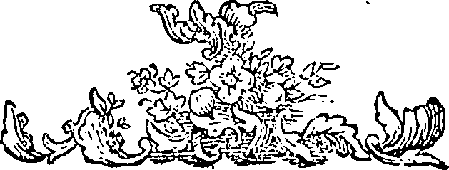 088/088770013804810_0.png