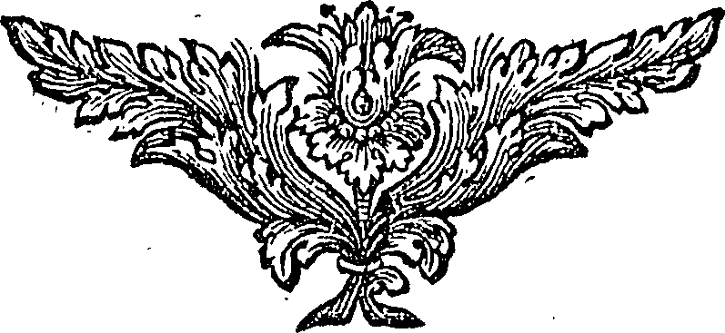 088/088770013805750_0.png