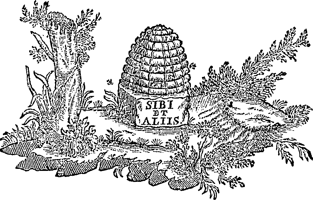 088/088770013805800_0.png