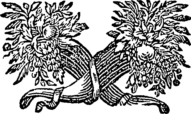 088/088770013806460_0.png