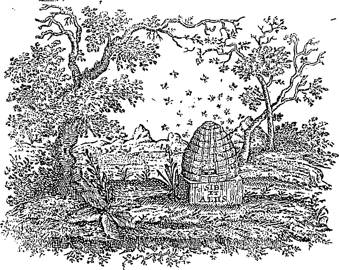 088/088770013900010_0.png