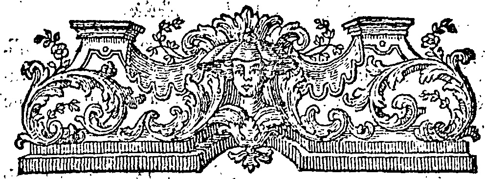 088/088770013901990_0.png