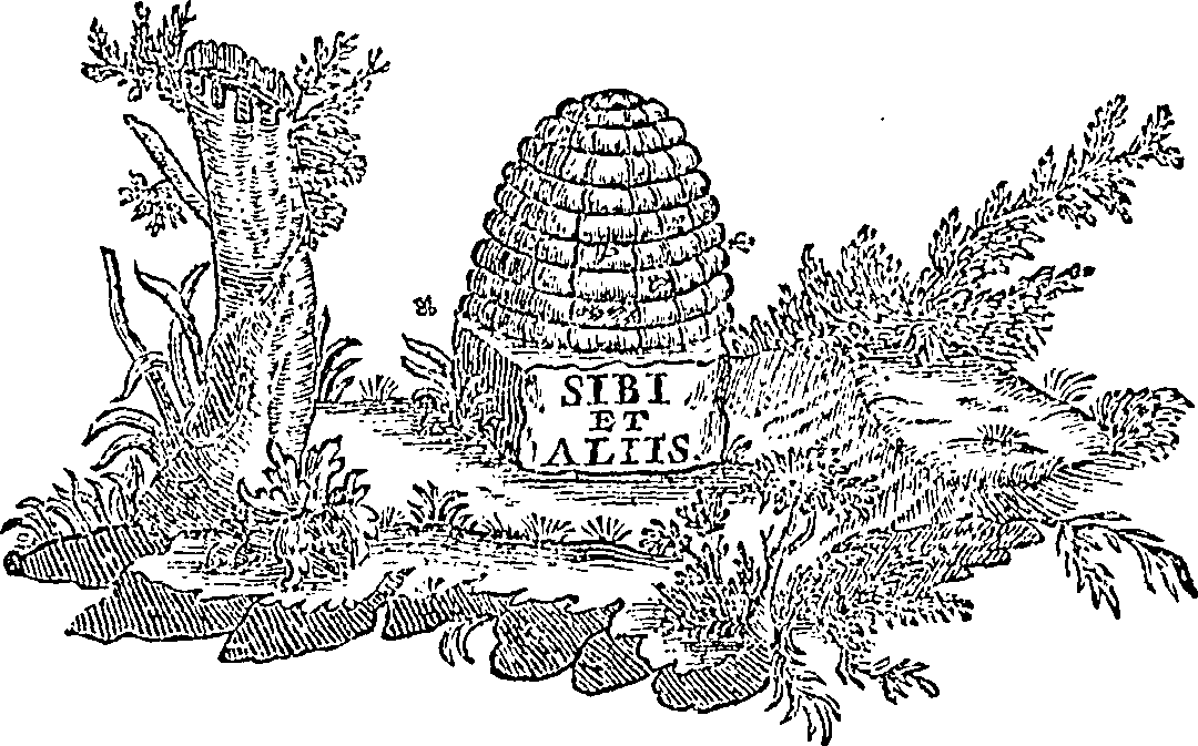 088/088770013903910_0.png