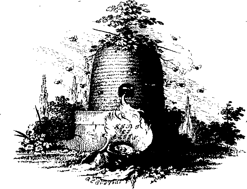 088/088780014200010_0.png