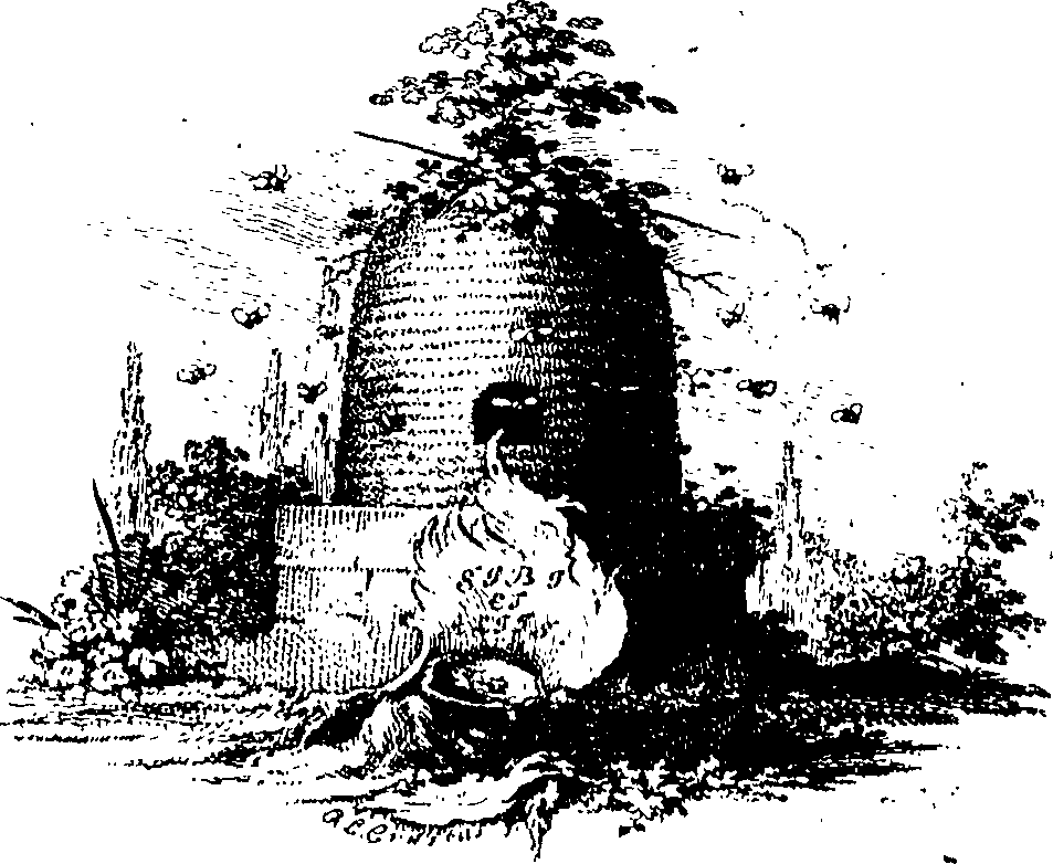088/088780014300010_0.png