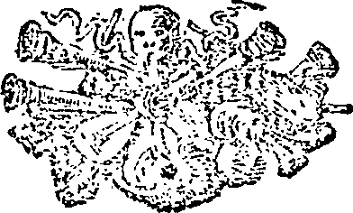 088/088820010301310_0.png