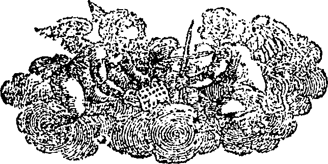 088/088830010802690_0.png