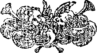 088/088830010802720_0.png