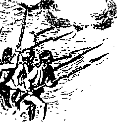 088/088850010600010_0.png