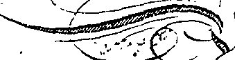 088/088850010700010_1.png