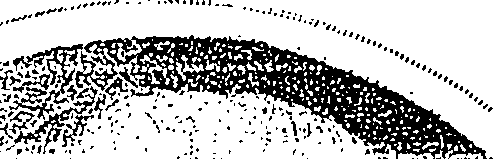088/088860011003510_1.png