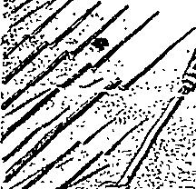 088/088860011203510_0.png