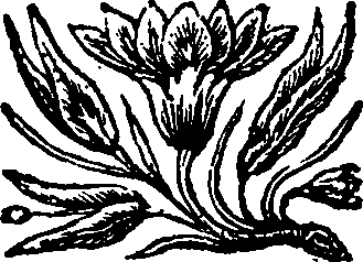 088/088870010000010_0.png