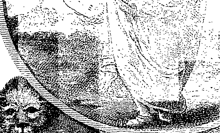 088/088870020100010_0.png