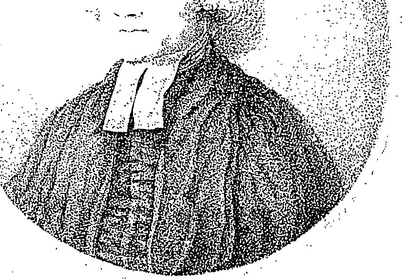 088/088870020100890_0.png
