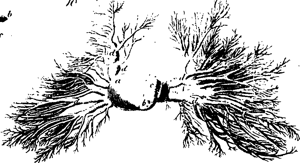 088/088880010101160_0.png